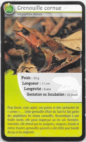 Bioviva karte gehörnter - karte!,