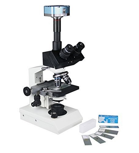 Radical 2500x hochleistung - radical,
