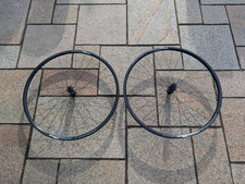 TREK Bontrager Mustang Pro 29