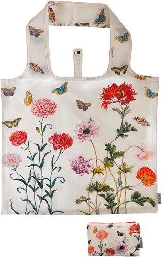 Maria sibylla merian - sibylla, eco