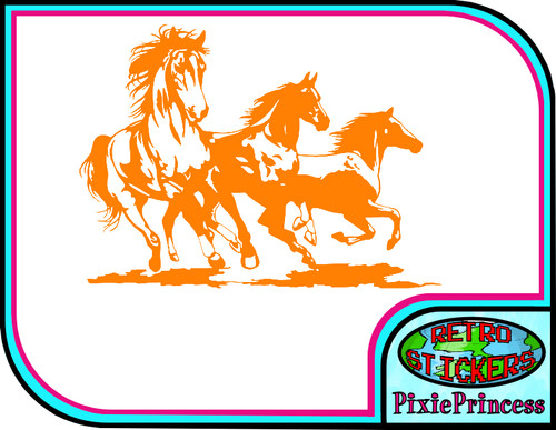 Reiten pferde vinyl - e,