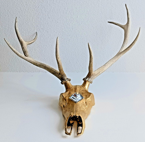 Hirschgeweih wandobjekt - hirschgeweih, in