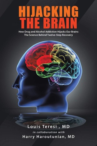 Buch hijacking the brain - buch:,