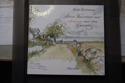 Amrum schöne ferientage - schöne,