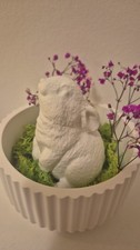 Deko Osterhase Weiss Gegossen