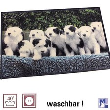 Abverkauf ! Sauberlauf Teppich