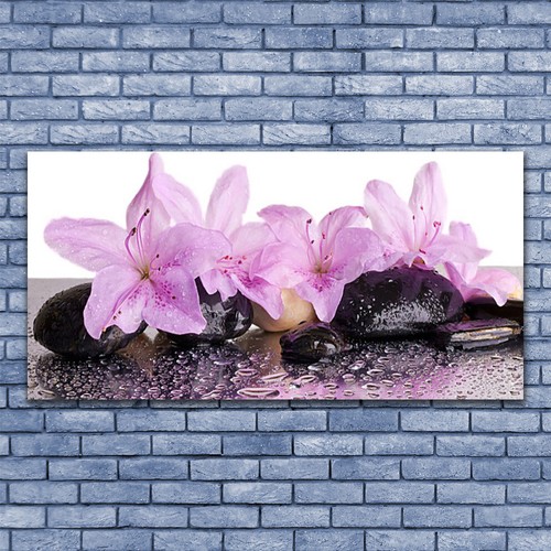 Acrylglasbilder wandbilder - acrylglasbilder,