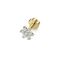 Diamant Blume Knorpel