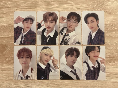 Stray kids skz ot8 - stray,