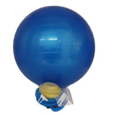 Edifit Schwangerschaftsball Fitness Sportgerät Swiss Ball Pilates Gym Blower Sit