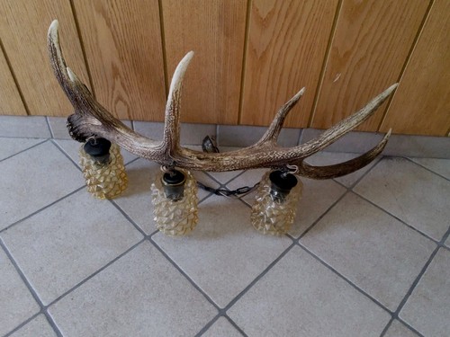 Vintage deer antler lamp - , with