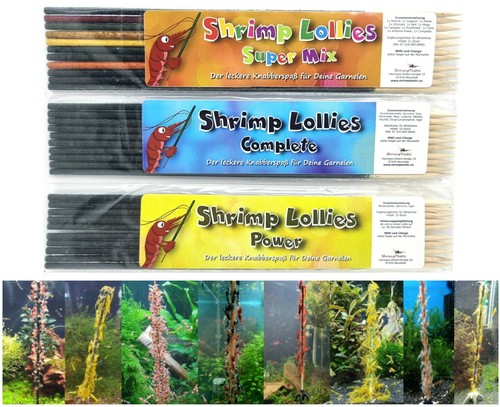 Shrimp lollies topseller set - shrimp,