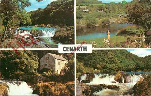Ansichtskarte:;Cenarth