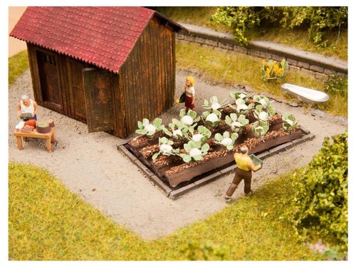 Noch 13216 blumenkohl - noch,