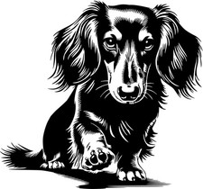 DACKEL Aufkleber - Dackel