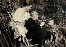 orig. Foto Hund Dame Frau