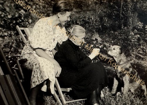 Orig foto hund dame - orig.,