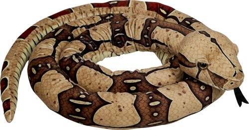 Boa constrictor - , 3m
