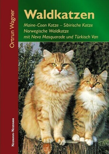 Waldkatzen buch - waldkatzen,