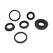 Wellendichtring Motor