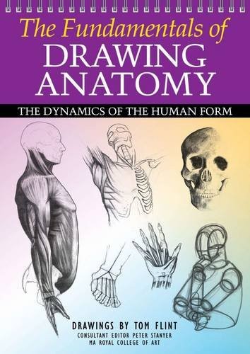 The fundamentals drawing - fundamentals, of