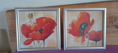 Bild mohnblumen motiv - bild,