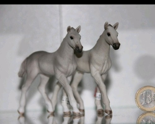 Schleich holsteiner fohlen - schleich,