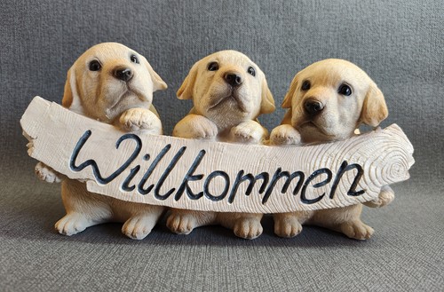 Willkommen schild hund - willkommen,