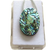 Paua Muschel Abalone Cabochon