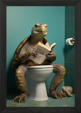 Schildkröte Toilettenbruch