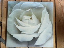 Ikea Pjätteryd Bild weiße