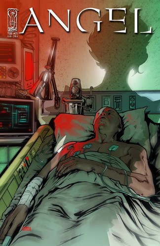 Angel 23 idw - #23,