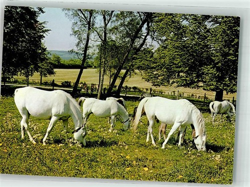 39920347 7423 gomadingen - 7423,