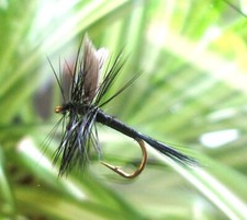 Gilchrist Fliegen. 3 x