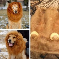 Großer Hund Kostüm