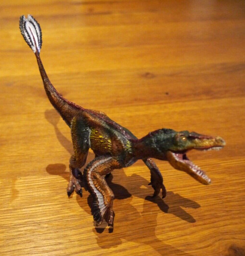 Velociraptor dinosaurier tiere - velociraptor,