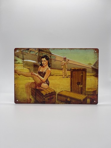 Blechschild pin 20x30cm - blechschild,