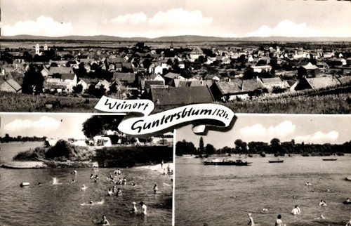 Guntersblum rhein - guntersblum, am