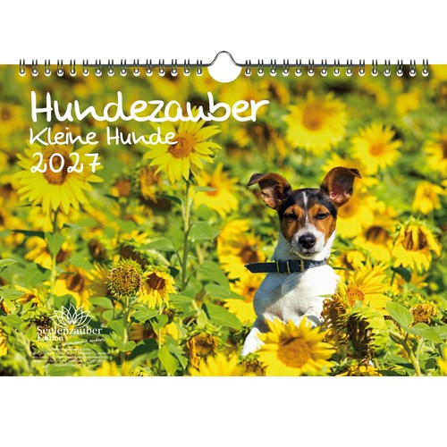 Hundezauber kleine hunde - hundezauber,