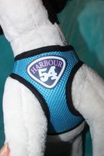 ⭐  Soft Geschirr  Gr. M