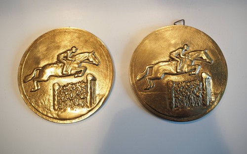 Reiten springreiten medaille - springreiten,