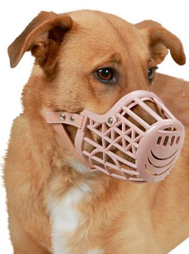 Maulkorb kunststoff hund - kunststoff,