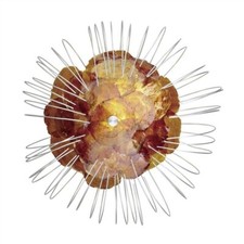 EGLO Edi Light 52194 Toxic