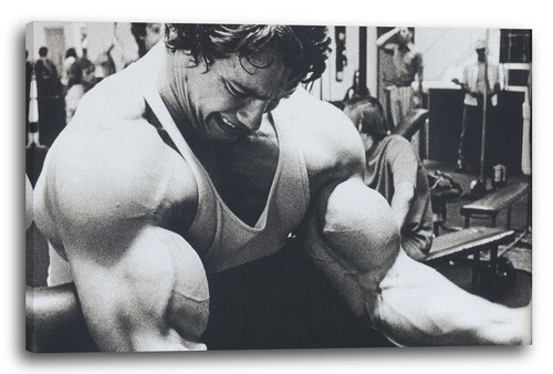 Lein wand bild arnold - lein-wand-bild:,