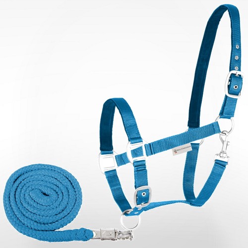 Pferde halfter strick set - halfter,