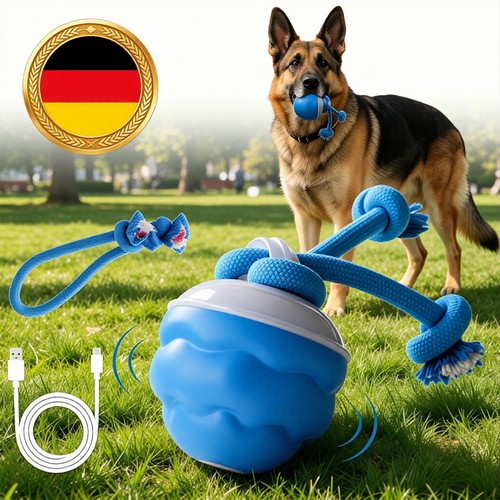 Hundespielzeug ball - hundespielzeug,