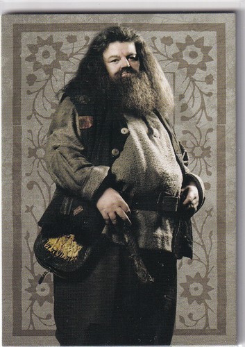 Panini harry potter evolution - potter,