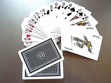 Neu Pokerkarten Plastik Poker Karten 2 Deck á 54 Blatt Casino Casinokarten