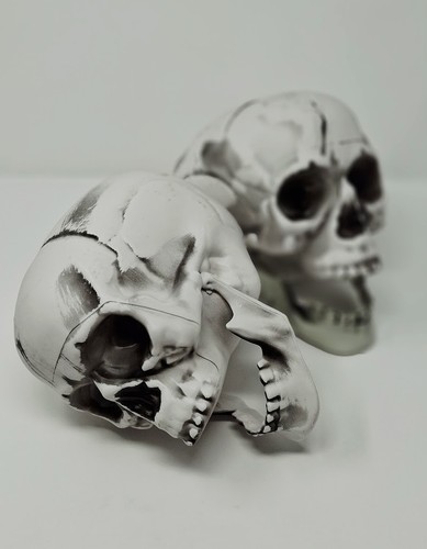 Halloween totenkopf deko - 2,