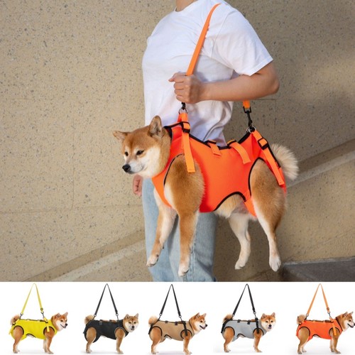 Hunde tragehilfe gehhilfe - hunde,